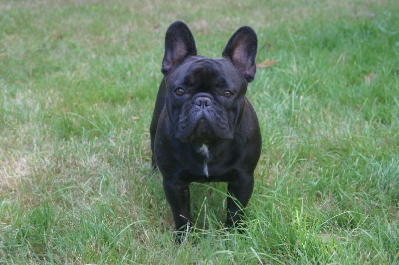 des p'tits bout boul Gard' moa-pres-de- toa